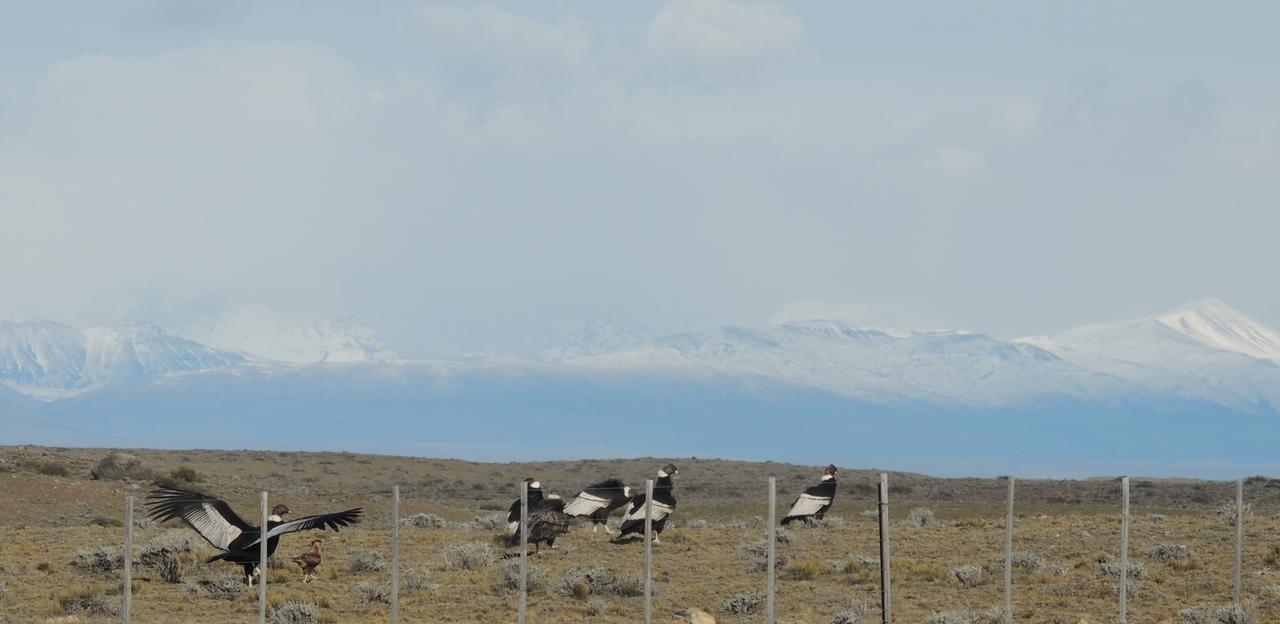 Complejo Nahuel Pan Villa El Chalten Bagian luar foto
